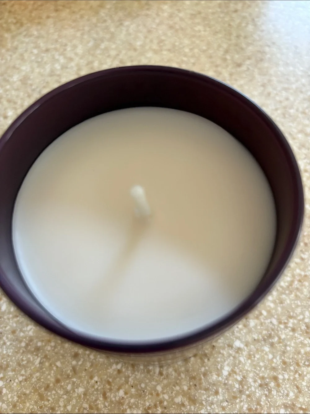 Bath & Body Works Wild Blackberry Jam Single Wick Candle